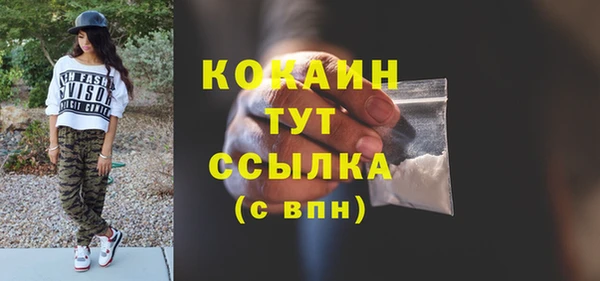 соль ск Алзамай