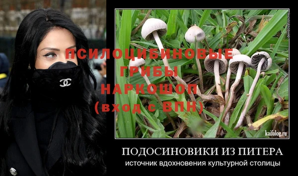 соль ск Алзамай