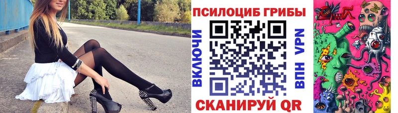 Псилоцибиновые грибы мицелий  mega рабочий сайт  Алексеевка  наркошоп 