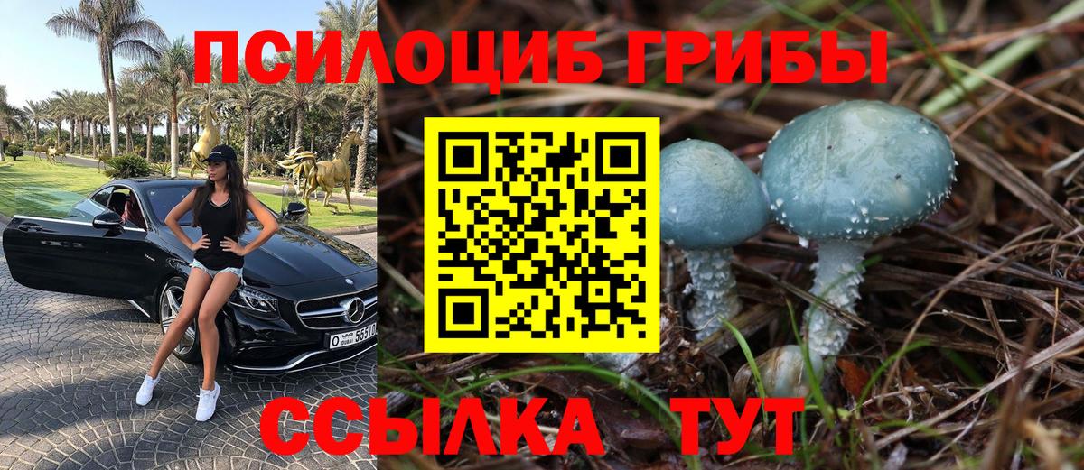 Псилоцибиновые грибы MAGIC MUSHROOMS Алексеевка