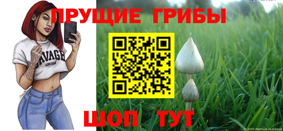Псилоцибиновые грибы Psilocybine cubensis  Вход с VPN  Алексеевка 